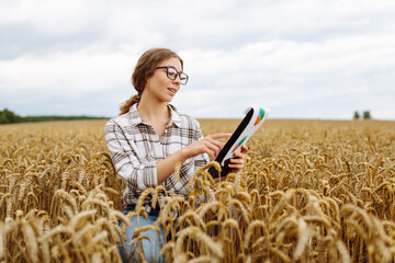Farmer woman  watching some charts and checking wheat field progress. Agriculture, gardening or ecology concept.