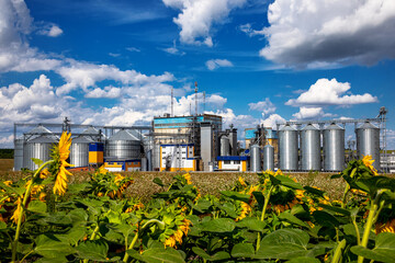 Agricultural Silos on the background of sunflowers. Storage and drying of grains, wheat, corn, soy,...
