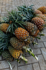 Ripe pineapples at the local farmer's market, lying in a pile on the floor - 720717269