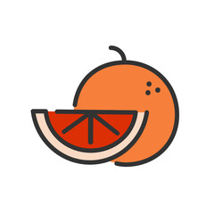 Orange fruit  outline color icon