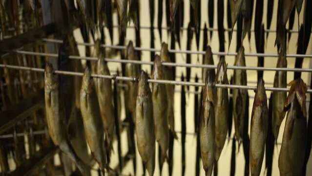 Many smoked herring hanging on a rack at the factory