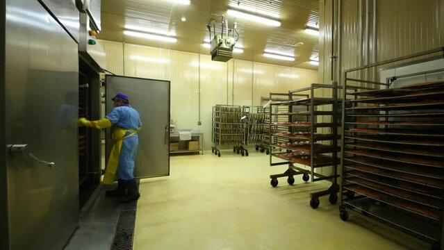 Factory worker pulls the shelving with fish out of the room in plant