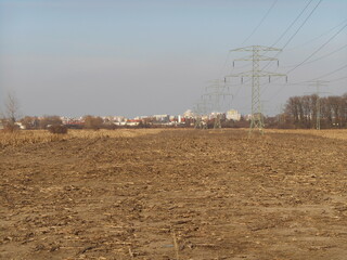 Field and city buildings in the background