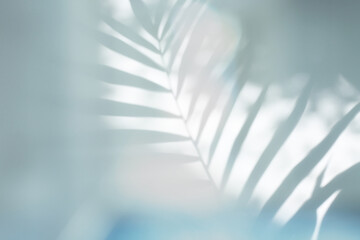 Soft focus blue gray grain texture refraction wall . Light and shadow smoke abstract copy space background. Palm leaf.