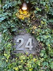 Twenty four. Number twenty four on a wall. Address made with metal figures surrounded by green...