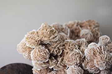 closeup of a Desert rose crystal on gray background with negative space