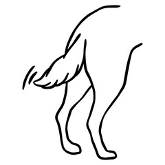 Obraz premium Dog Butt