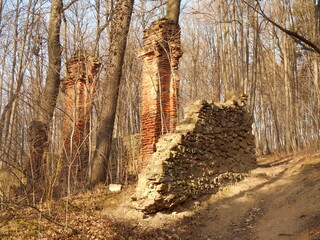 Stone and brick ruins of a fence and gate in the forest.