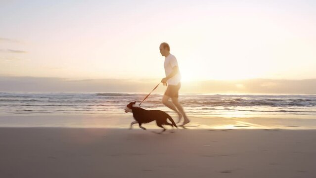 Sunset, happy dog and man running for beach cardio, morning journey or fun exercise for canine. Sea shore, action and pet owner training, practice and travel with playful animal in island paradise