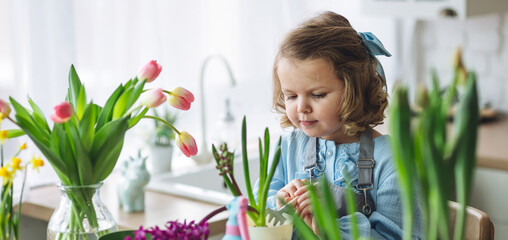 Cute little girl in a pretty blue dress doing home gardening in the kitchen, taking care about...