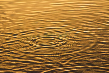 Illuminated Golden Ripple Effects in Lake Water at Sunrise or Sunset w/ Warm Metallic Spa Feeling (filtered photo) -Border, Background, Backdrop, Wallpaper, Publications