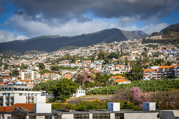 panoramic view over funchal and monte from cable car, aerial view, madeira, portugal, sea, mountains