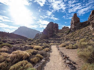 Landscape of Teide National Park