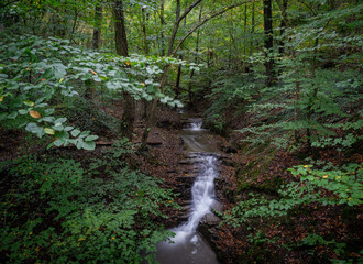 The waterfall in green forest