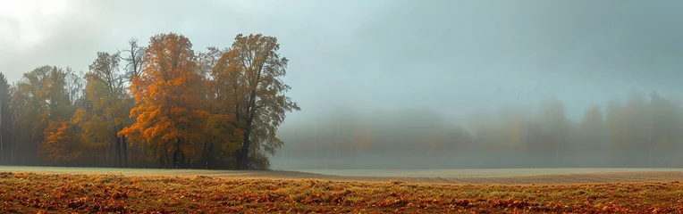 Fototapeten Autumn landscape, foggy morning, yellowed grass, a lonely tree standing in the fog. Banner. Place for text. © elenarostunova
