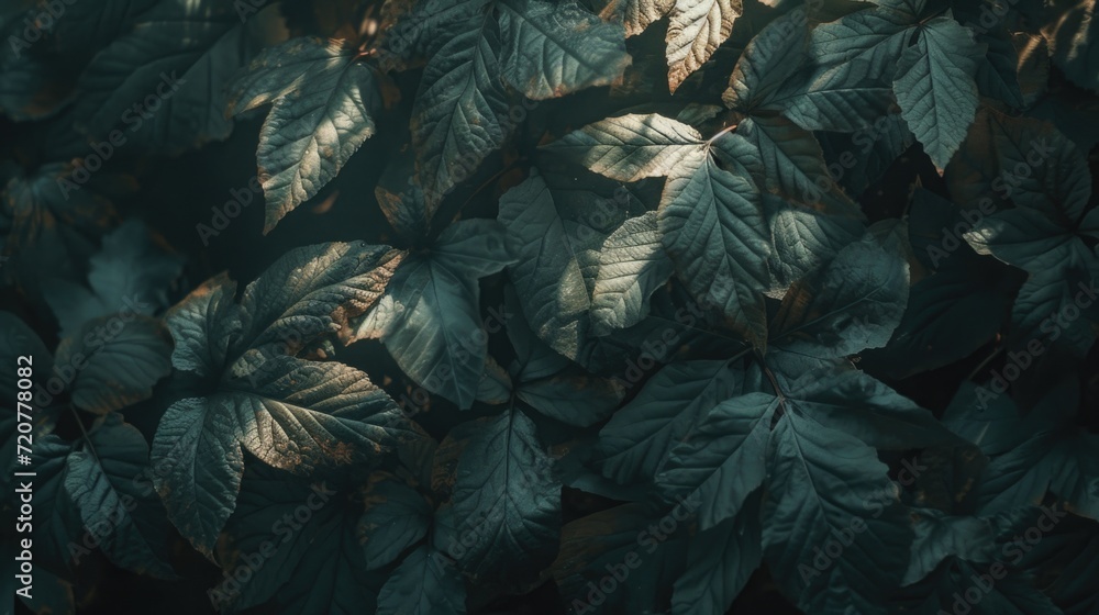 Poster A close up view of the leaves on a tree. This image can be used to showcase the intricate details and textures of nature