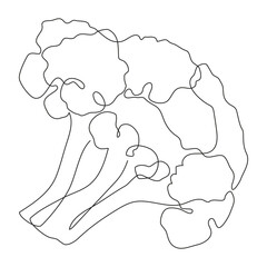 Broccoli continuous one line drawing. Vector illustration design. Vegetable hand drawn minimalist style.