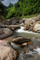 river in the forest