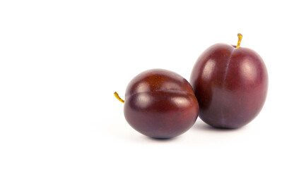 Two plums on a white background with space for text.
