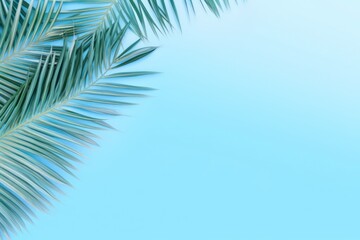 Fototapeta na wymiar Summer Composition: Palm Leaves on Pastel Blue Background AI Generated