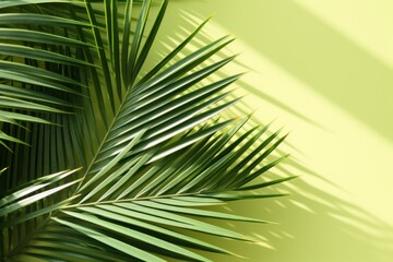 Minimal Summer Concept: Green Palm Leaves and Hard Shadows AI Generated