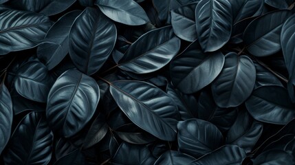 Black abstract leaf textures tropical leaves background. generative ai - obrazy, fototapety, plakaty