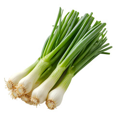 leek isolated on transparent background ,fresh chives ,generative ai