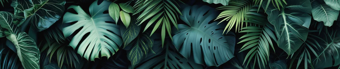 Fotobehang Background from palm leaves. Sleek dark tropical leaves wallpaper, perfect for a sophisticated and modern botanical look © T-elle