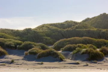 Papier Peint photo Mer du Nord, Pays-Bas White sand beach at north sea coast, European marram grass (beach grass) on the dune, Ammophila arenaria is a species of grass in the family Poaceae, Dutch Wadden Sea island, Terschelling, Netherlands