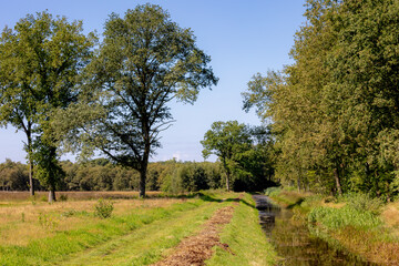 Fototapeta na wymiar Late summer landscape, Nature path along small creek, canal, Green grass meadow and forest under blue clear sky, Overijssel is a province of the Netherlands located in the eastern part of the country.