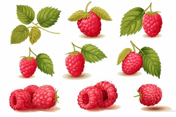 Many different raspberries in different poses, in the style of vibrant illustrations, light pink and light maroon. Ai Generated