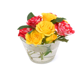 Rose isolated on white background