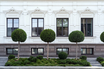 Elegant white building facade with decorative molding, complemented by neatly trimmed ornamental...