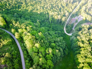  Aerial drone landscape photo of national park. Picture of green forest and road