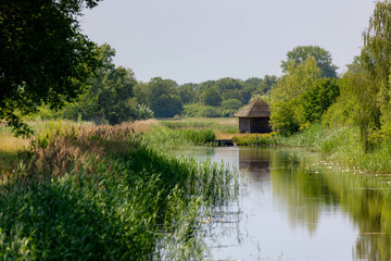 Summer landscape with water land and farmhouse, Typical countryside with canal or ditch, The...