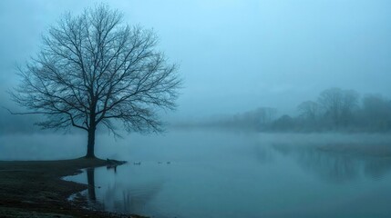 Bare defoliated tree on lake shore in early morning blue mist fog, moody landscape, dark,...