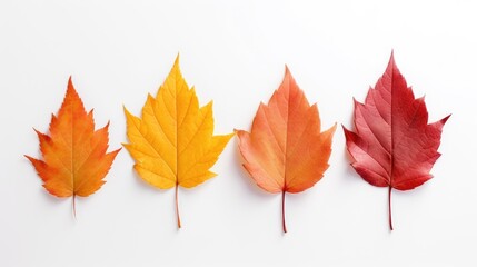 Colorful autumn leaves isolated on white background. Flat lay, top view Generative AI