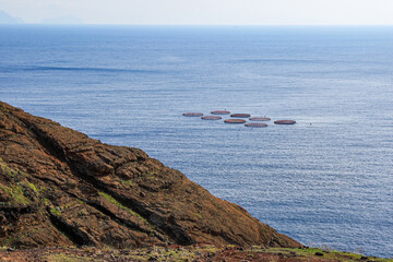 Fish farm in the waters of the Ponta de São Lourenço (tip of St Lawrence) at the easternmost...