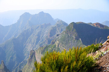 Mountainous landscape near the Pico Ruivo, the highest mountain peak on Madeira island, Portugal - Heathland on dry slopes in the Atlantic Ocean
