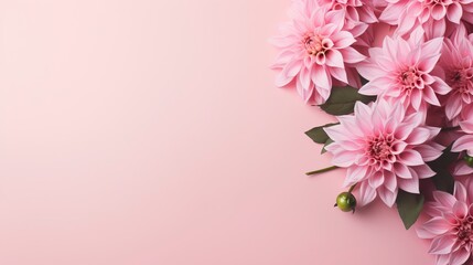 Fototapeta na wymiar Pink dahlia flowers on pastel pink background with copy space Generative AI