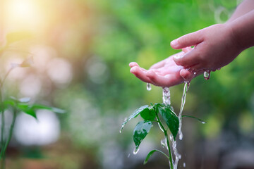 Hands of baby kid watering plants. growing nurturing tree growing on fertile soil with green and...