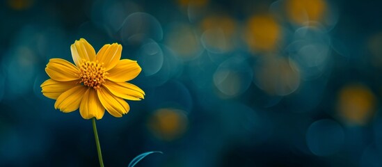 Vibrant Wildflower on a Blurry Dark Background with Wild Yellow Blossoms - Powered by Adobe