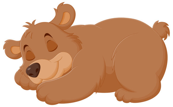 Cute Bear Cartoon Sleeping Vector Illustration. Animal Nature Icon Concept Isolated Premium Vector