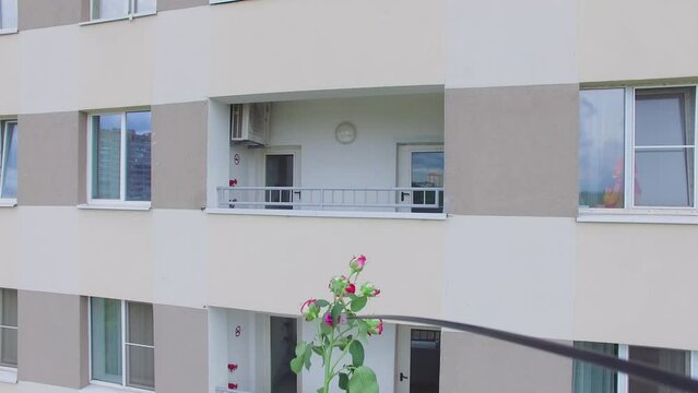 Bunchy flower flies near facade of house with woman on balcony