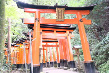 Fushimi Inari Taisha - Kyoto, Japan
