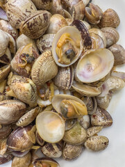 Chinese home cooking 