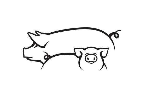 monochrome illustration of pig and piggy isolated on white background