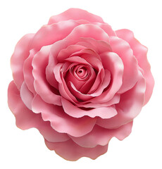 Fabric pink rose isolated.