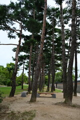 Gyeongbokgung - Korean Palace - Seoul, South Korea