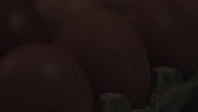 Video macro detail of brown eggs with warm light passing over them. Food concept.